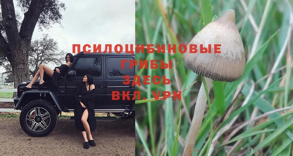 СК Михайловск