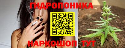 спиды Заводоуковск