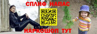 спиды Заводоуковск