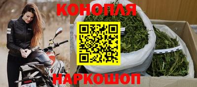 спиды Заводоуковск
