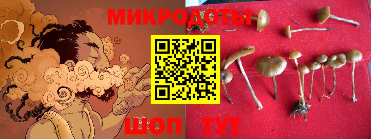 Галлюциногенные грибы Psilocybine cubensis  Вход с VPN  Пермь 